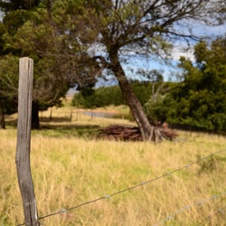 2015-05 South Africa/Drakensburg/DSC_0004.JPG